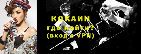 шишки Белокуриха