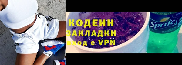 шишки Белокуриха