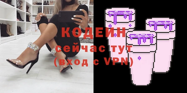 шишки Белокуриха