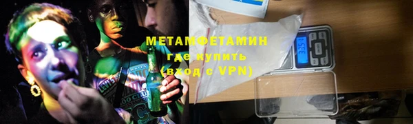 шишки Белокуриха