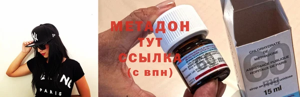 шишки Белокуриха