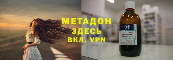 шишки Белокуриха