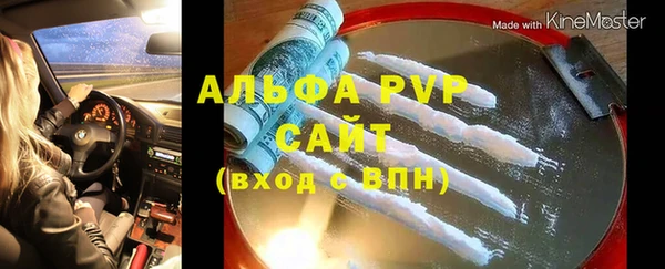 шишки Белокуриха
