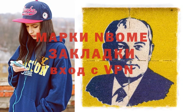 шишки Белокуриха