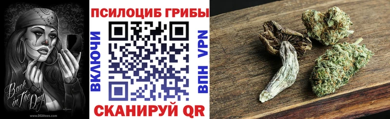 Псилоцибиновые грибы MAGIC MUSHROOMS  купить наркотики сайты  mega сайт  Каменск-Уральский 